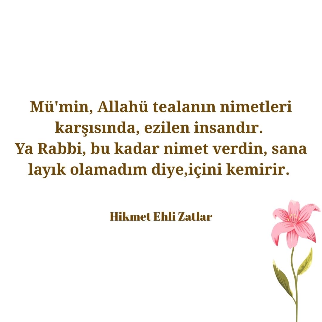 Hikmet Ehli Zatlar (6)